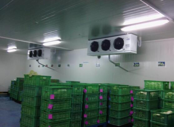 果蔬冷库怎么保鲜与储存？果蔬冷库用冷风机可以保鲜吗？